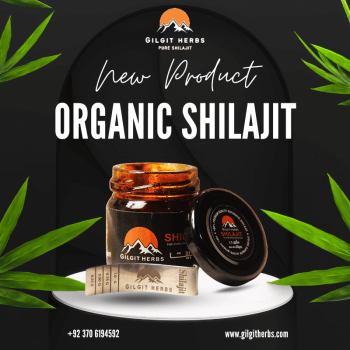 Best Organic Shilajit 20g
